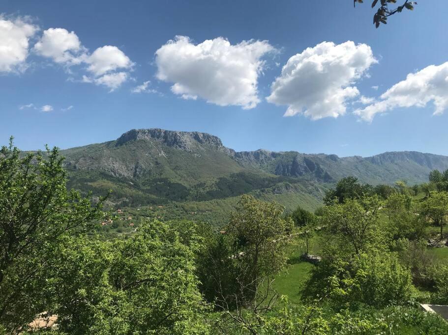 Вилла Grandma'S Hut Никшич Экстерьер фото