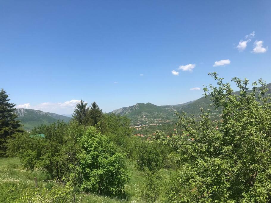 Вилла Grandma'S Hut Никшич Экстерьер фото